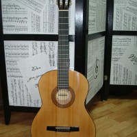 guitar Hohner HC-06